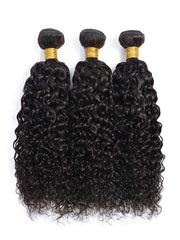 Kinky Curly Human Hair Bundles with Closure